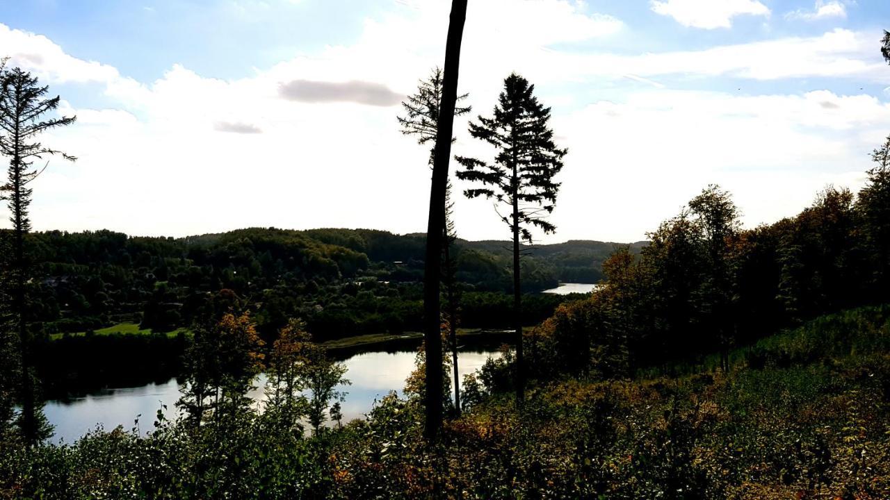 Przystanek Patulskie Pierszczewo Exteriér fotografie