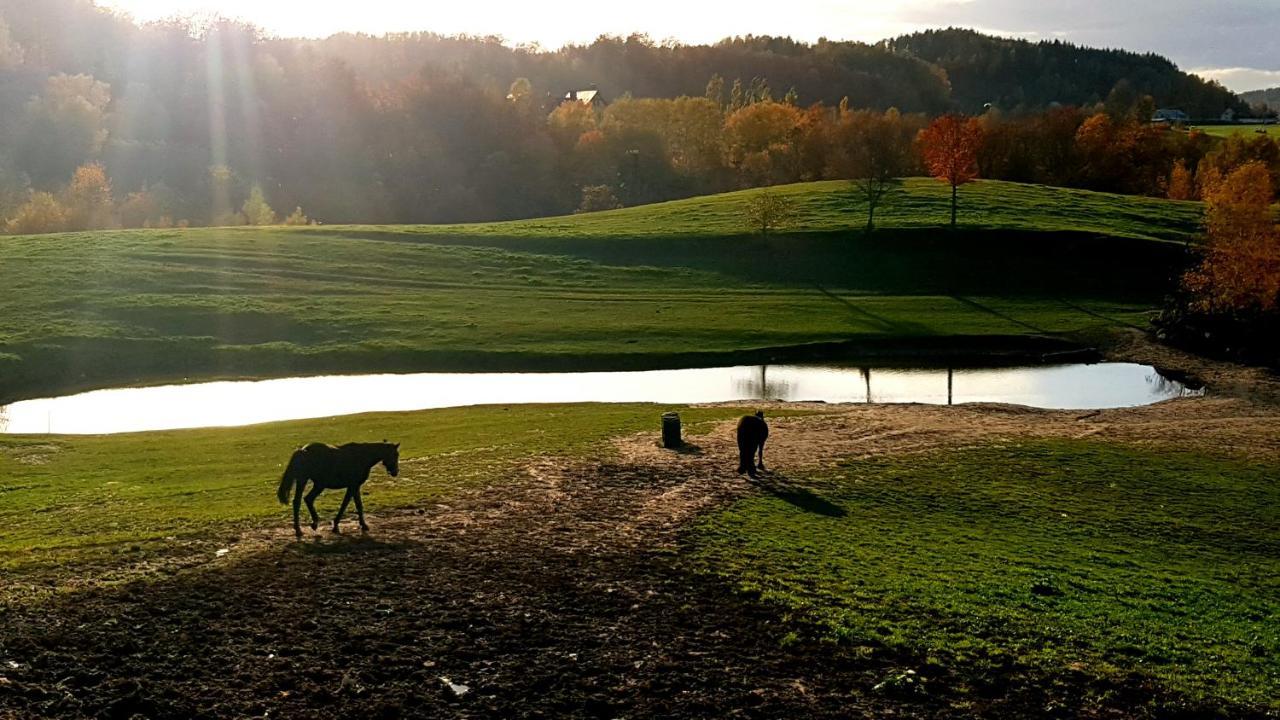 Przystanek Patulskie Pierszczewo Exteriér fotografie